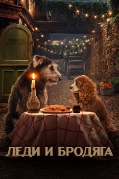 Постер Леди и Бродяга (2019)