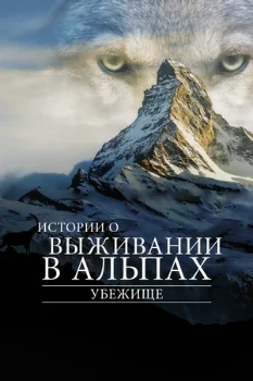 Постер Убежище. Истории о выживании в Альпах (2019)